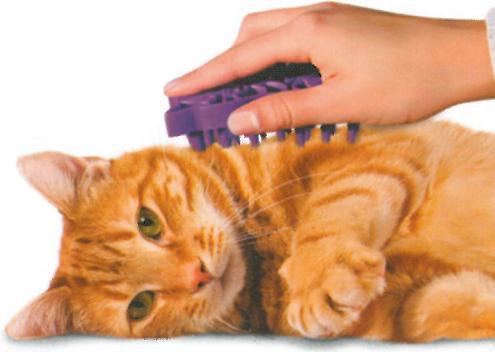 Actual product image KONG zoom groom (Cat)