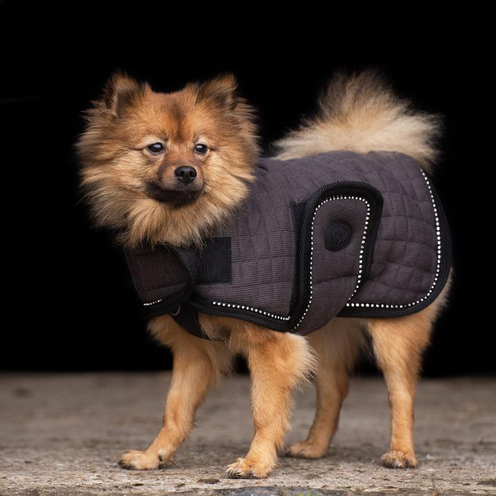 Produktbild HV Polo Franka (M, Hundemantel)