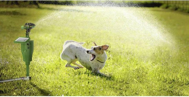 Actual product image Gardigo Solar water animal repellent