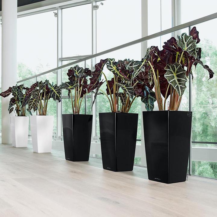 Produktbild Lechuza Cubico 30 (29.50 cm)