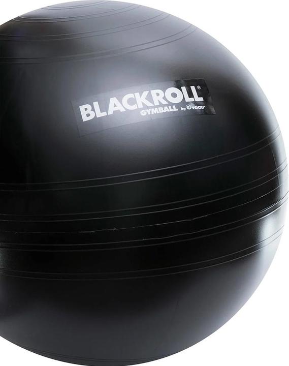 Actual product image Blackroll Gymball (65 cm)