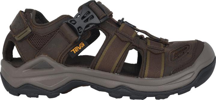 Teva Omnium (47)