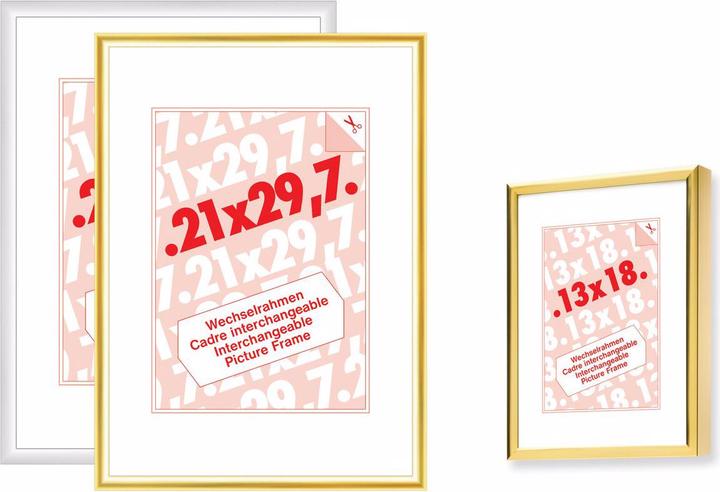 Actual product image Debex Framing system (21 x 29.7 cm)