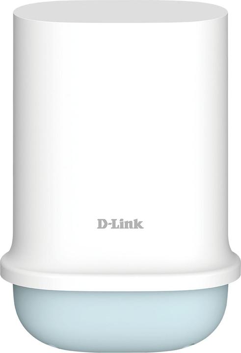 Actual product image D-Link DWP-1010