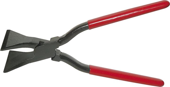Pinza