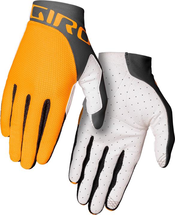 Yellow/Grey
