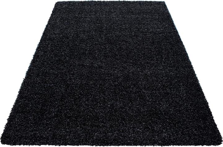 Produktbild Ayyildiz Hali LIFE Hochflor Teppich (60 x 110 cm)