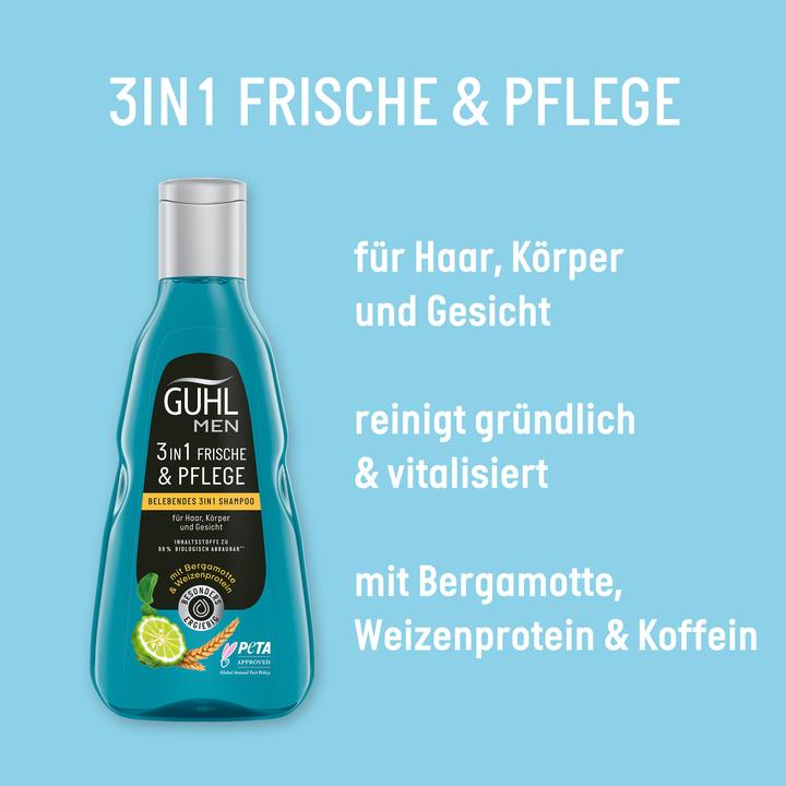 Immagine prodotto Guhl Uomo 3in1 Shampoo Freschezza e Cura (250 ml, Shampoo liquido)
