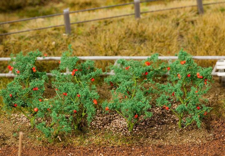 Produktbild Faller 18 Tomatenpflanzen