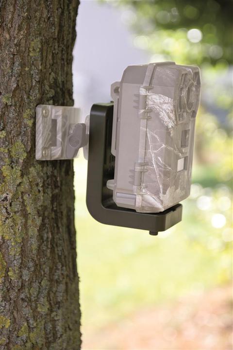 Actual product image Dörr Universal