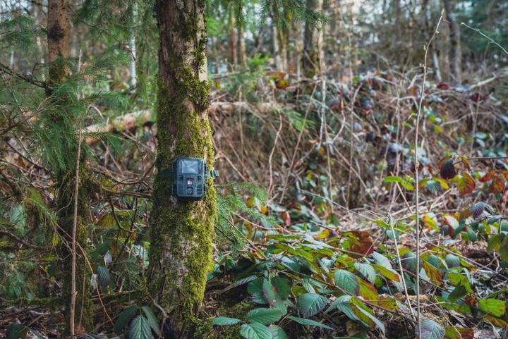 Produktbild Braun Photo Scouting Cam Black200 mini
