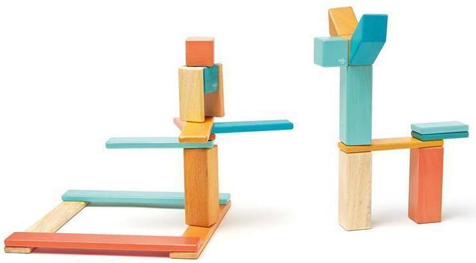 Image du produit Tegu Blocs en bois magnétiques