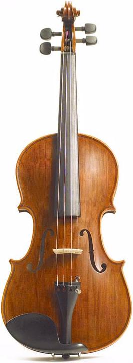 Stentor Elysia (Fiddle, 4/4)