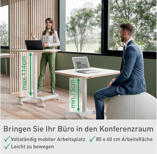 Image du produit Leitz Ergo Compact Workstation Bureau réglable en hauteur (80 x 60 x 75 cm)