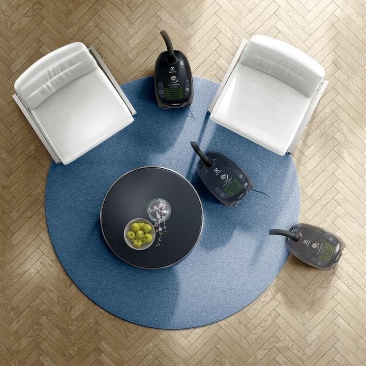Image du produit Electrolux PowerForce EPF6GREEN