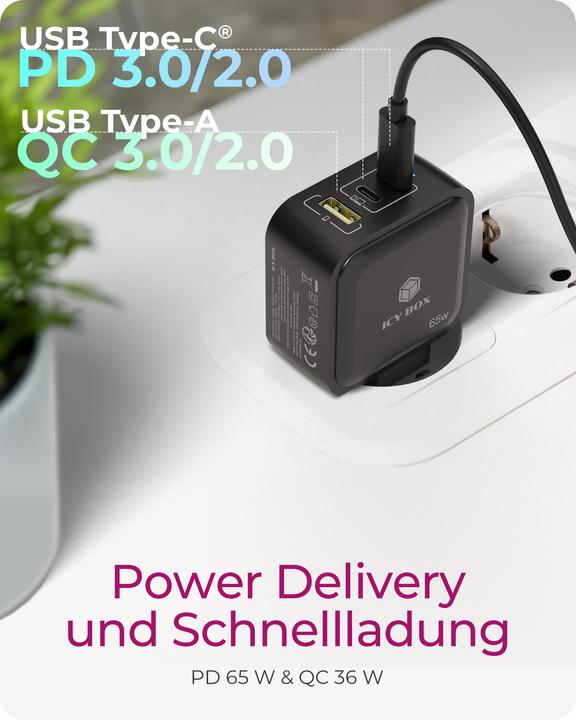 Productafbeelding Icy Box IB-PS1030-PD (65 W)
