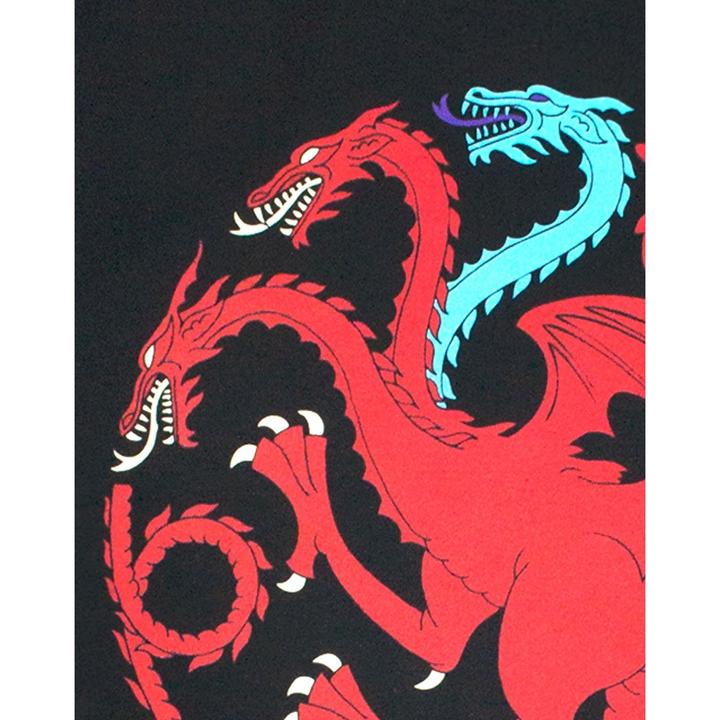 Immagine prodotto Game of Thrones Maglietta con i draghi del ghiaccio e del fuoco (S)