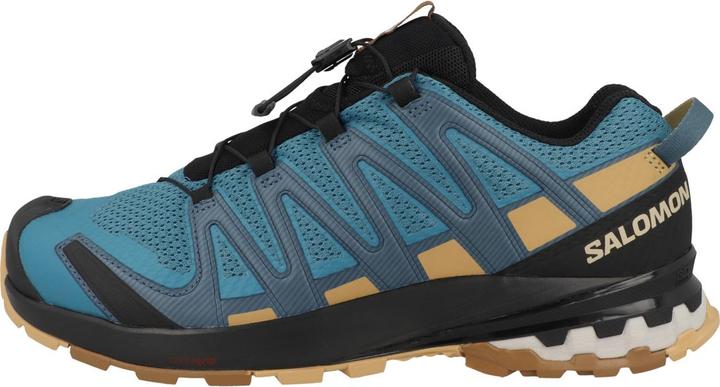 Salomon XA Pro 3D V8 (43 1/3)