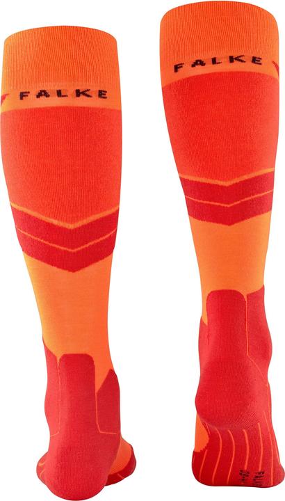 Actual product image Falke SK4 (46 - 48)