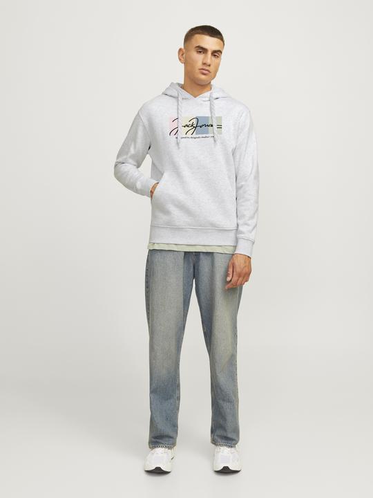 Actual product image Jack & Jones Jorportland Block Sweat Hood Ln (S)