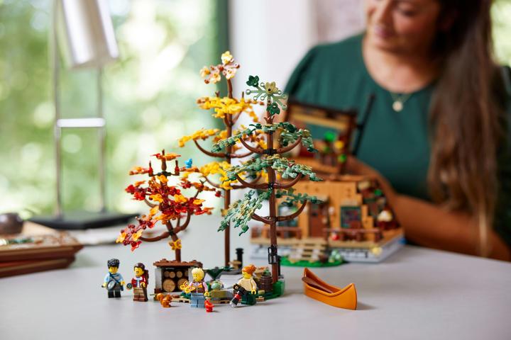 Actual product image LEGO Ideas Finn Cottage 21338 (21338, LEGO Ideas, LEGO Rare Sets)