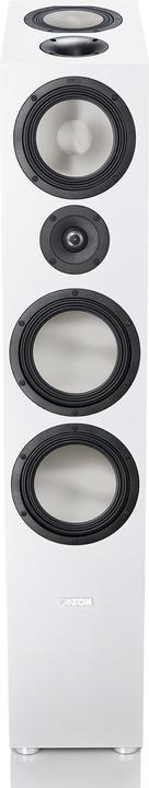 Canton GLE 90 AR (1 Stk., 210 W)