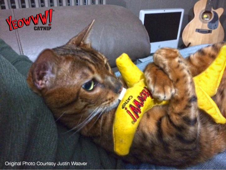 Produktbild Yeowww Banane 18cm mit Katzenminze gefüllt (Katzenminzespielzeug)