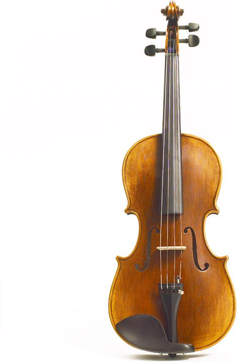 Actual product image Stentor Arcadia (Viola, 4/4)