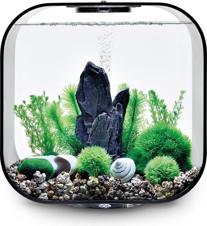 Actual product image Oase biOrb Aquarium 30 Decor Set (Embellishment, other buildings)