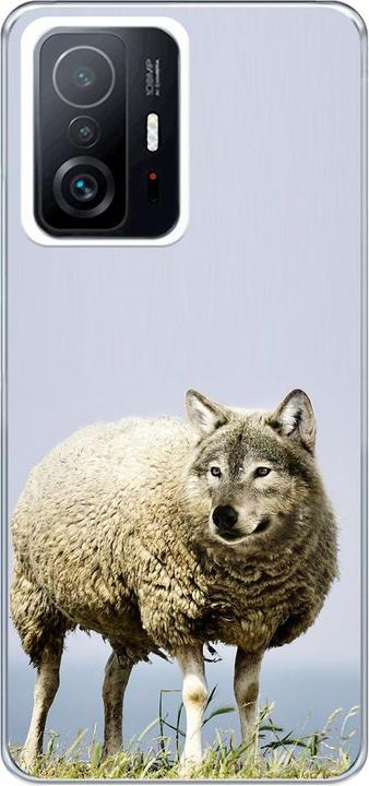 Wolf in sheep's clothing