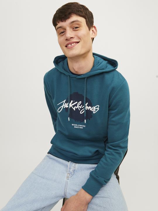 Actual product image Jack & Jones Jjtiley Sweat Hood Ln (L)