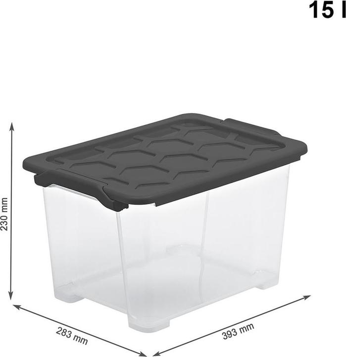 Produktbild Rotho Evo Safe (39.5 x 23 x 28.5 cm, 15 l)