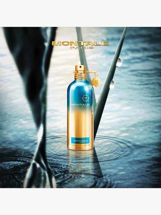 Produktbild Montale Herbal Aquatica (Eau de Parfum, 100 ml)