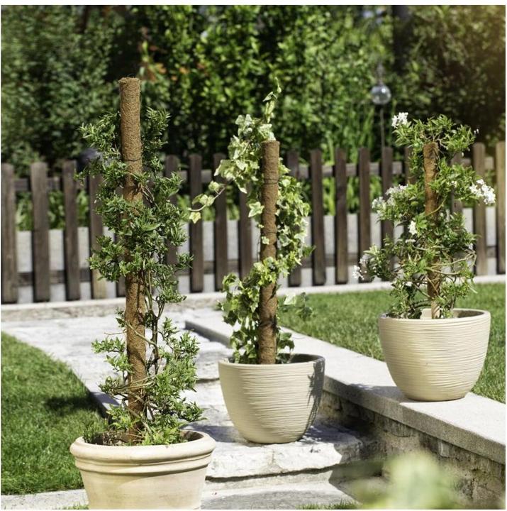 Immagine prodotto Windhager Cocco (60 cm, 4 cm)