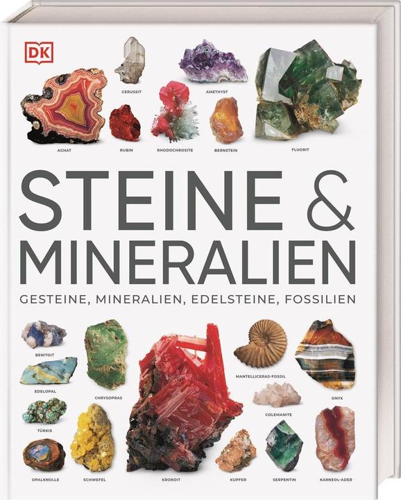 Image du produit Steine & Mineralien (Allemand, Ronald L. Bonewitz, Karin Koch, Stephan Matthiesen, 2023)