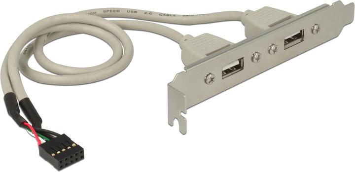 Immagine prodotto Delock Staffa a slot 2x USB 2.0 a 10 pin di testata (0.30 m, USB 2.0)