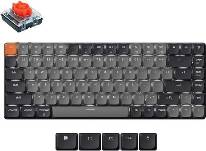 Muis + Toetsenbord Accessoires