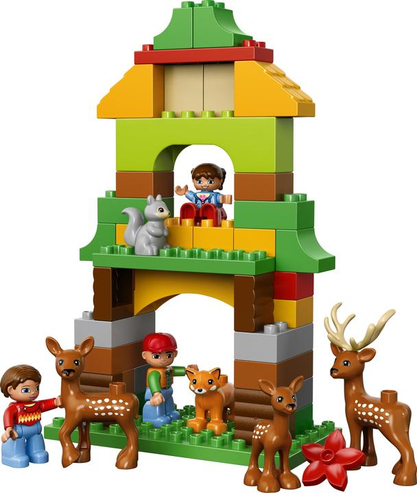 Actual product image LEGO Game Park (10584)