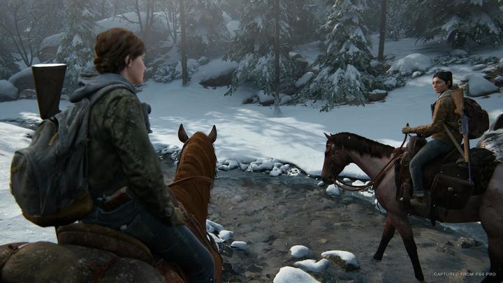 Immagine prodotto Sony The Last of Us Part II Edizione Standard (EN/RU) PS4 (PS4, DE)