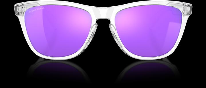 Immagine prodotto Oakley Frogskins