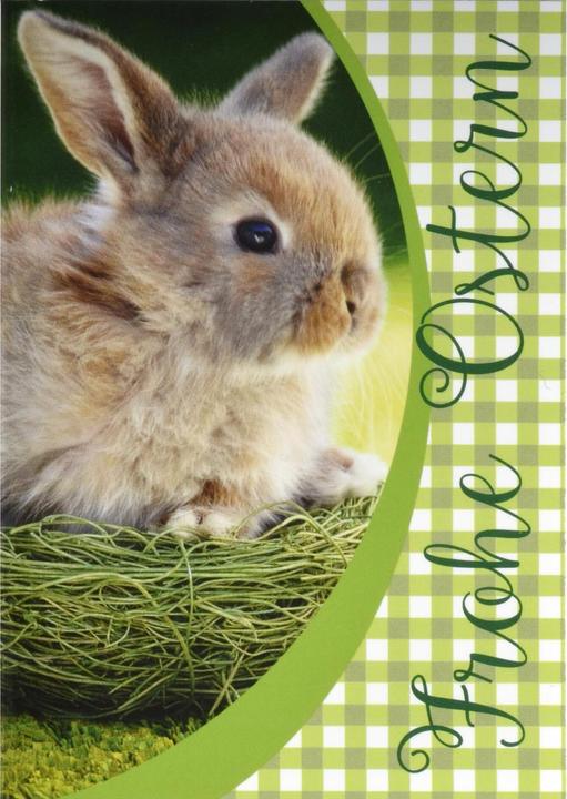 Image du produit ABC Carte de voeux Mini Joyeuses Pâques (1 pcs)