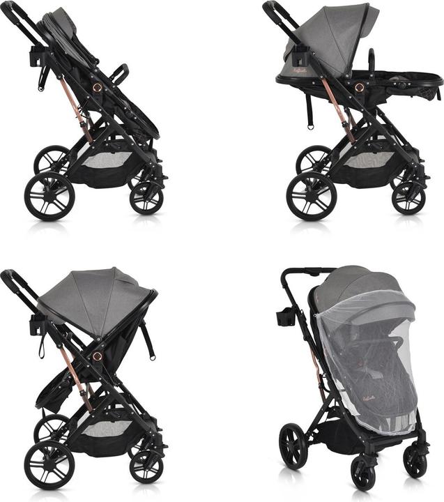 Actual product image Moni Rafaello 2 in 1 pushchair