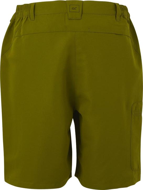 Actual product image Regatta Womens/Ladies Chaska III Walking Shorts (Frequency band 38 (2600 MHz))