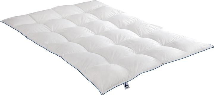 Produktbild Irisette 4-Jahreszeiten-Daunendecke Luna (250 g, 155 x 220 cm)