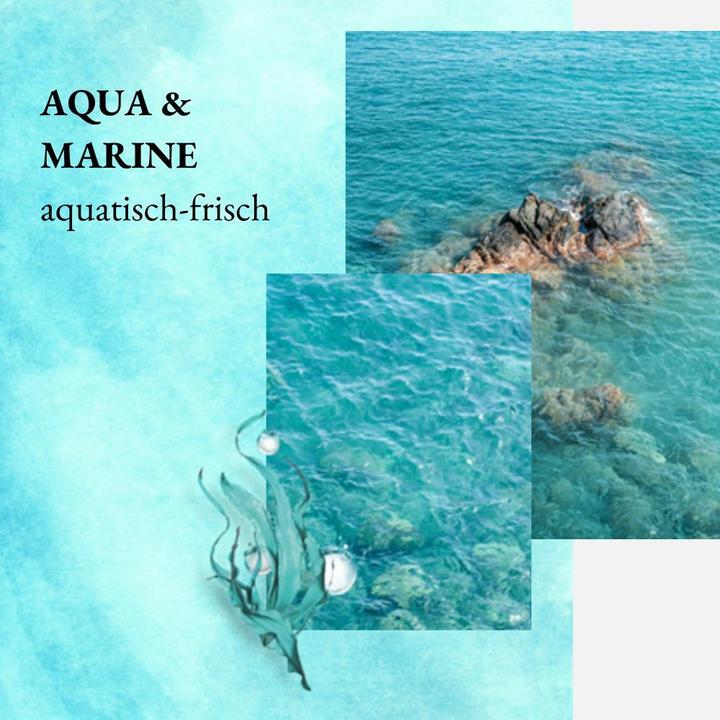 Actual product image we:care2 Duschgel, Aqua-Marine (250 ml)