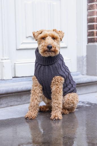 Produktbild Designed by Lotte Hundepullover Haida (32, Hundepullover)