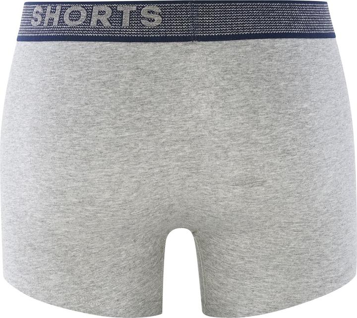 Actual product image Phil & Co. Berlin Retro Pants All Styles (XXL, pack of 4)