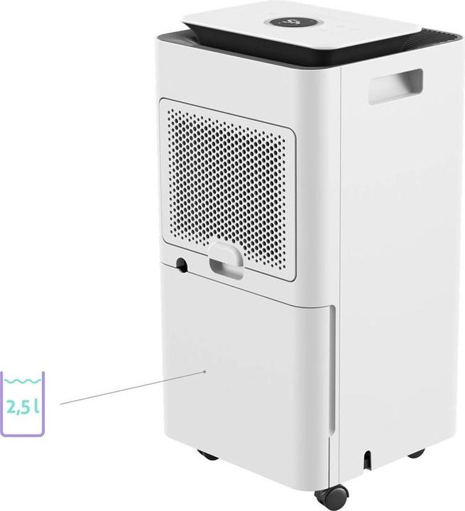 Actual product image Truelife Tlairddh5 (45 m², 12 l/24h)