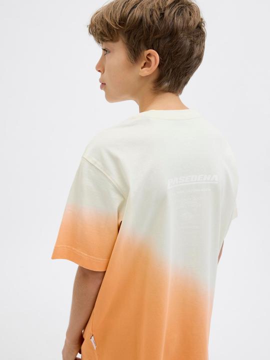 Produktbild Jack & Jones Colour Blocking T-shirt Junior T-shirt (176)