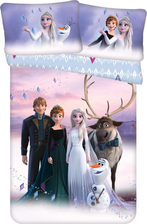 Jerry Disney Frozen (100 x 135 cm, 40 x 60 cm)